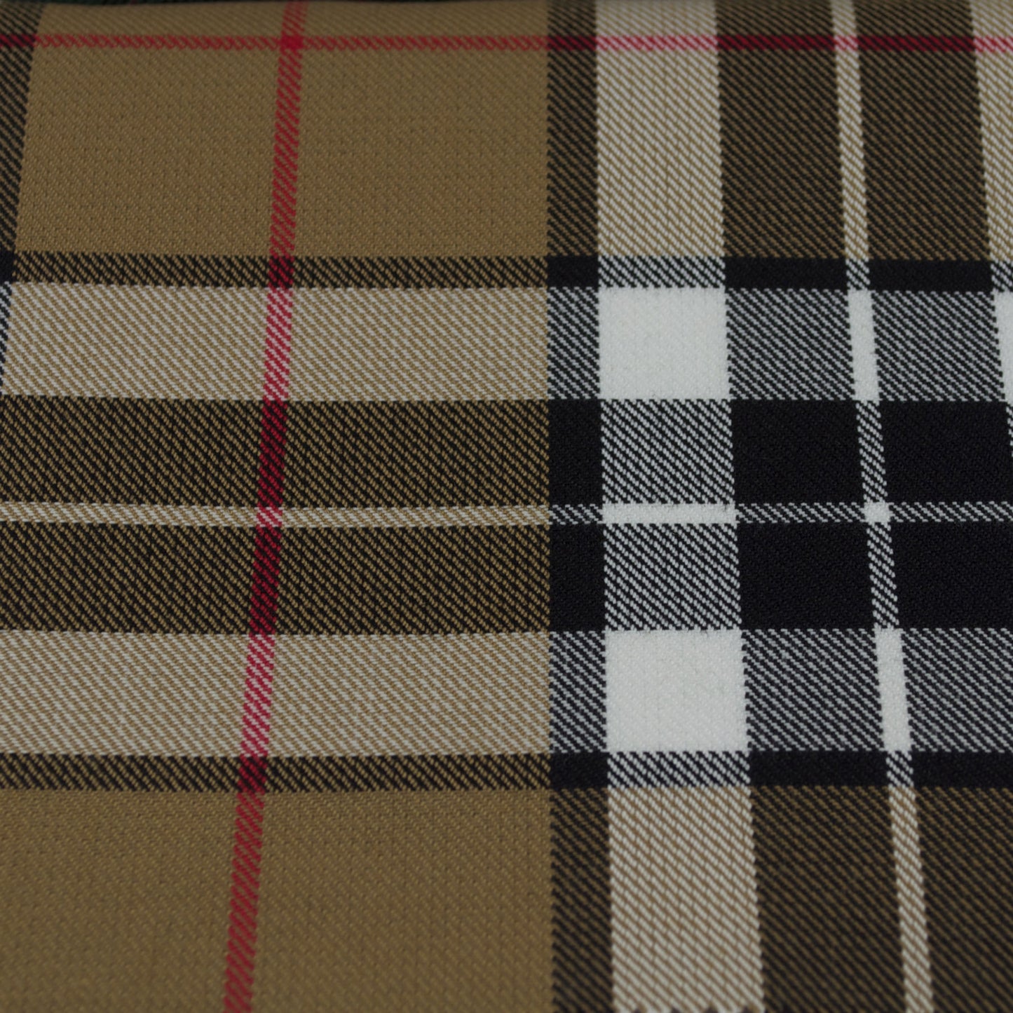 Tartan Fabric - Thomson - Modern - Camel