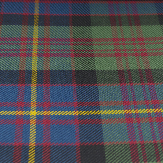Tartan Fabric - Cameron of Erracht - Muted